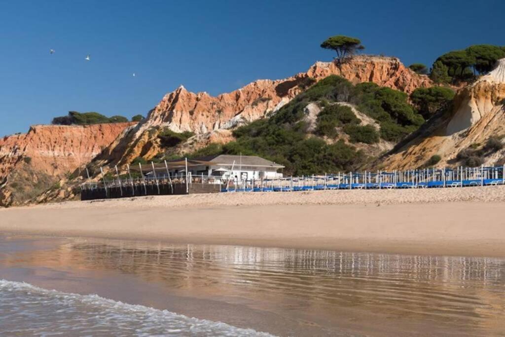 Pool And Garden Village-Near Beach Albufeira Exterior photo